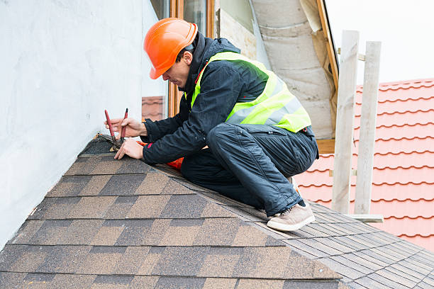 Best Sealant for Roof  in Paola, KS